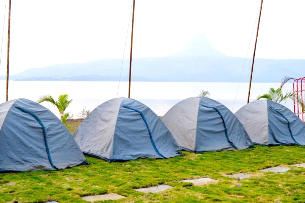 Four blue camping tents arranged in a row on a grassy area near a body of water.